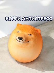 Игрушка мялка антистресс с пастой Собака, 1 шт.