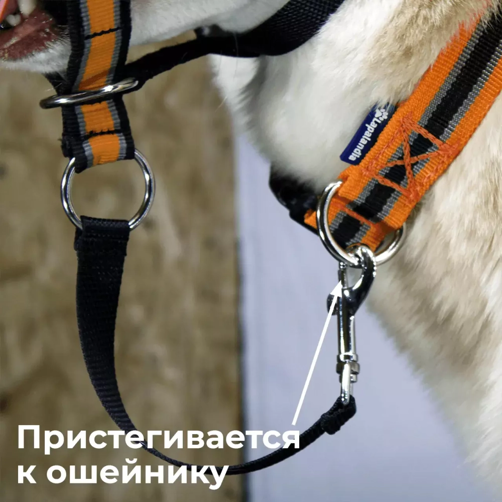 Недоуздок корректор поведения Спорт (Халти) для собак
