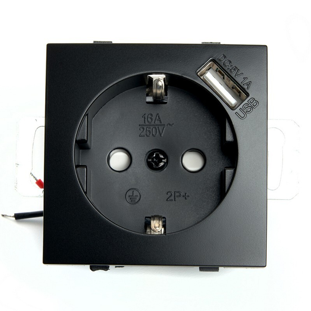 Розетка 1-местная с/з  механизм   и с USB. серия Эрна. PST16-9111-03. черный