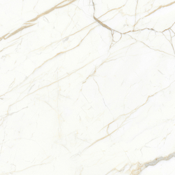 Europa Gold l Керамогранит белый 60x60 Матовый Карвинг