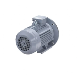 Электродвигатель ESQ PR 200 M6 GST-Б1-S12-IE2 22/1000 IM2001