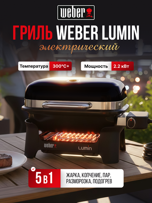 Электрический гриль Weber Lumin Compact