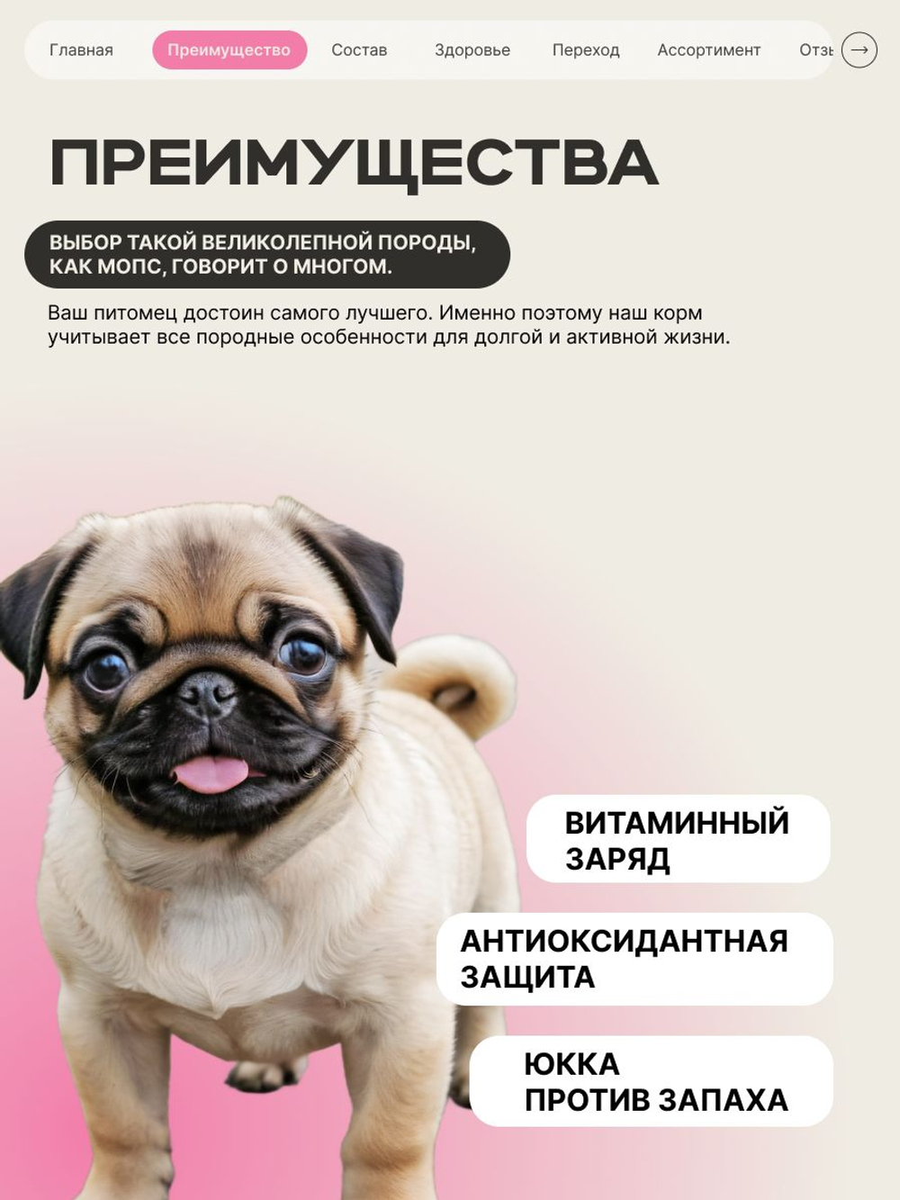 Корм сухой для щенков породы Мопс, с говядиной, 800 гр, QUATTRO
