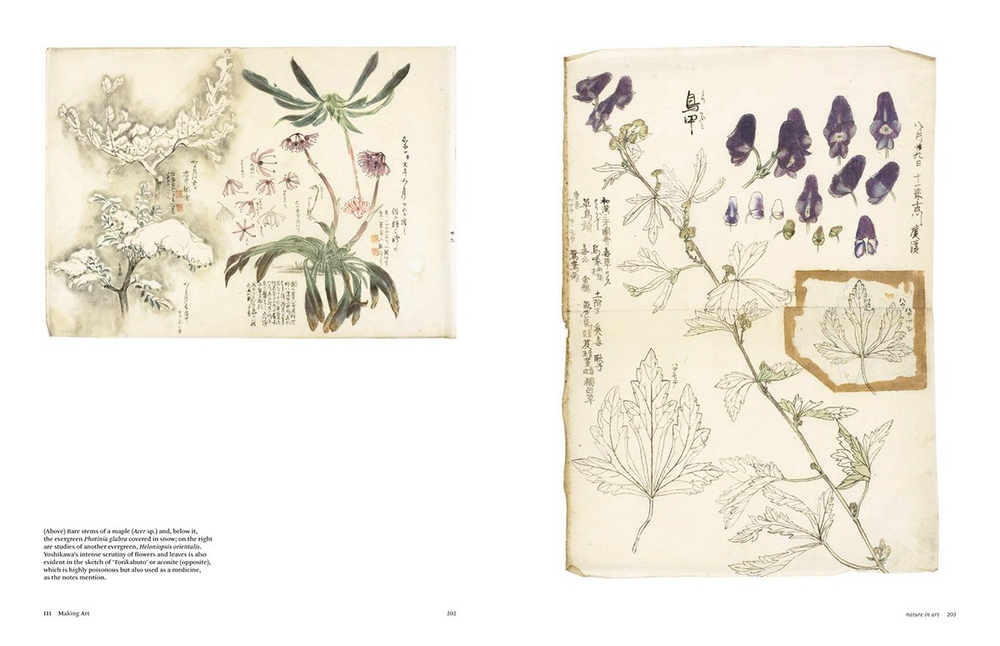 Botanical Sketchbooks