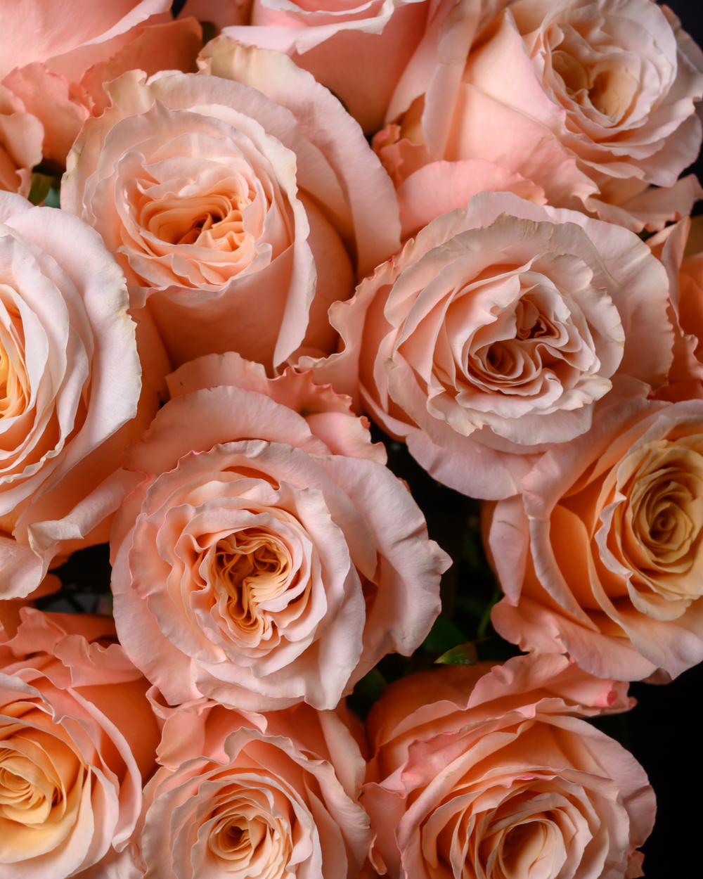 Монобукет теплый беж