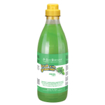 ISB Fruit of the Groomer Mint Шампунь для любого типа шерсти с витамином В6 1 л