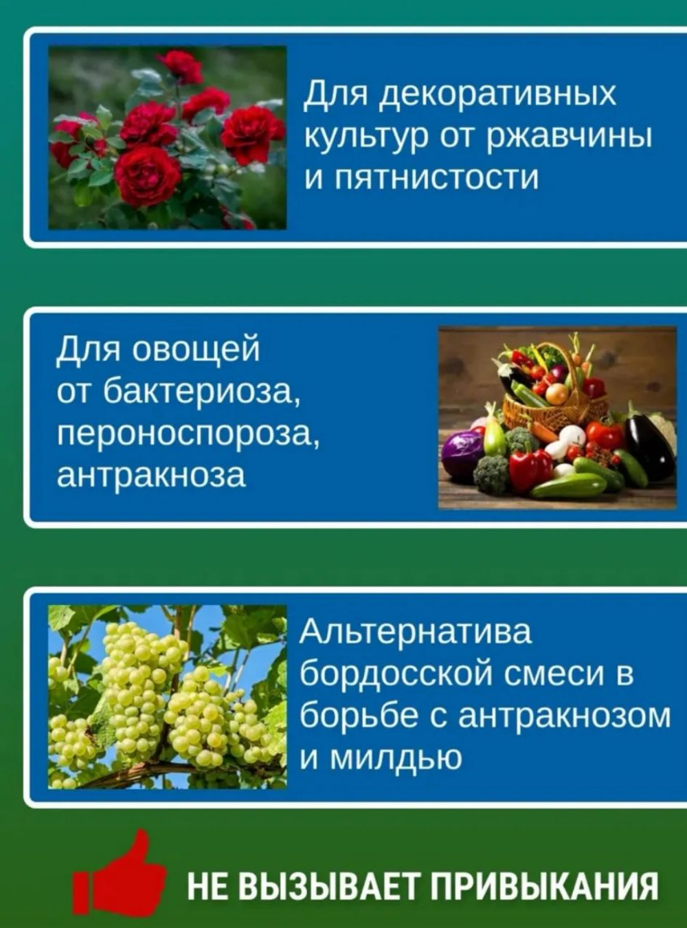 Хом,, 40 г Средство для защиты растений от болезней
