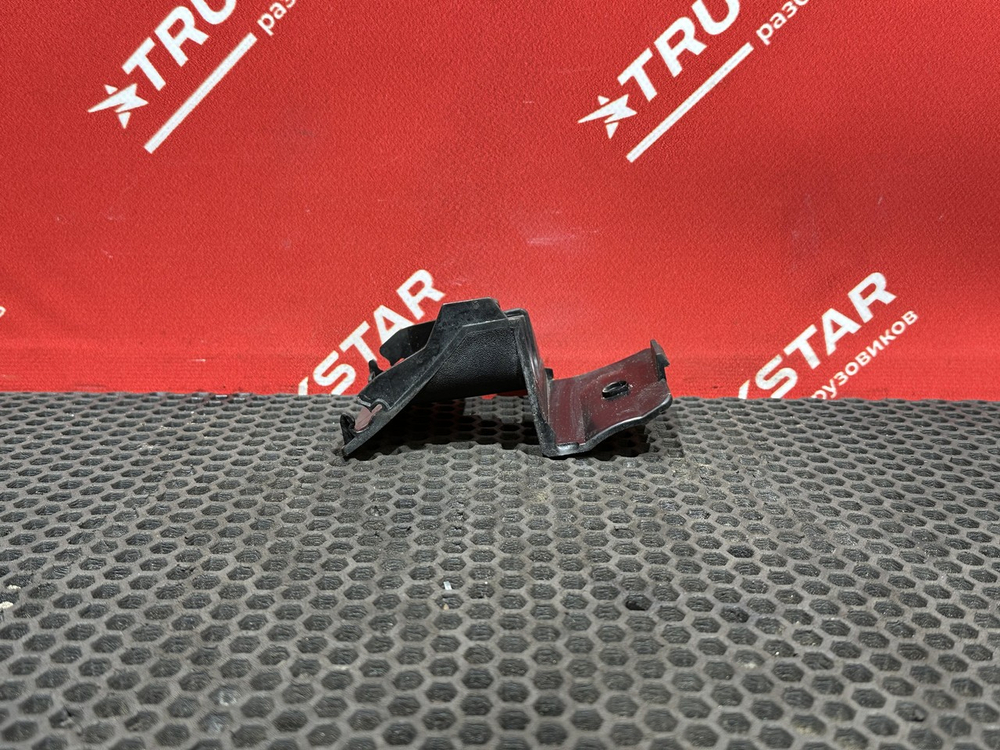 Заглушка решетки радиатора левая