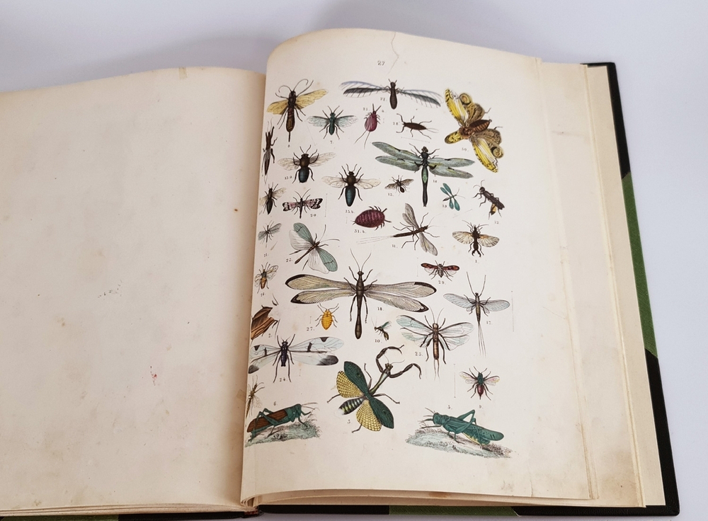 "Систематический атлас к естественной истории". Т.Бромме. 1863 г.