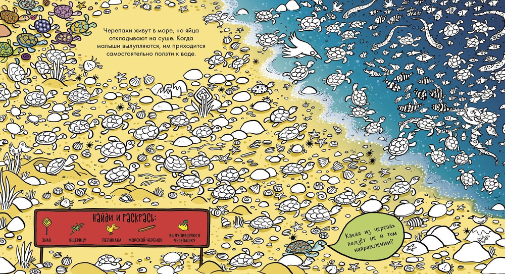 Найди и раскрась. Океан