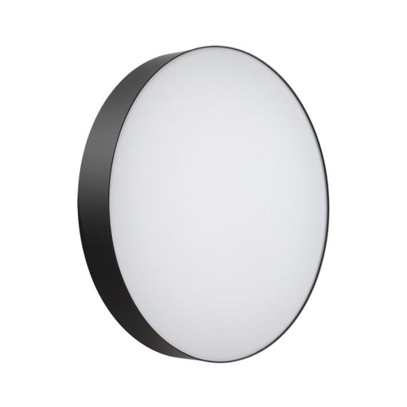 Настенно-потолочный светильник Sonex BASICA 7780/ELN