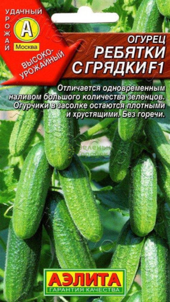 Огурец &quot;G. Ребятки с грядки F1&quot; 10шт, Россия.