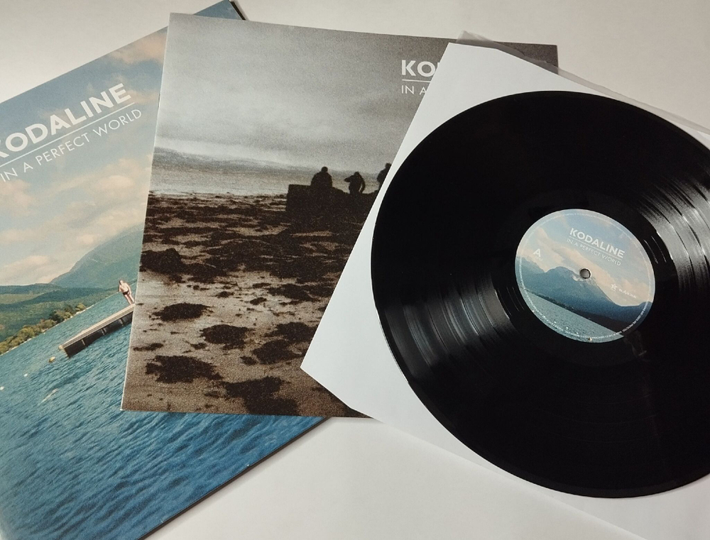 Винтажная виниловая пластинка LP Kodaline In A Perfect World (UK 2013)