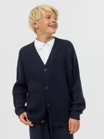 Кардиган для мальчик на пуговицах AT891-M синий