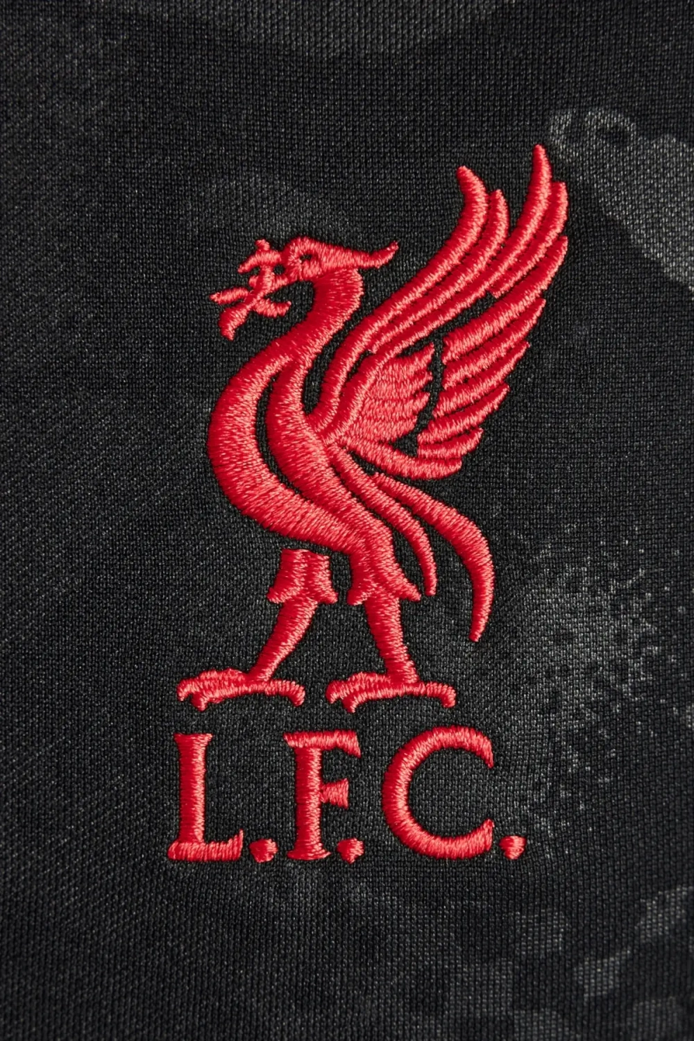 Футболка Nike Liverpool FC 24/25 Pre-Match Junior - черный