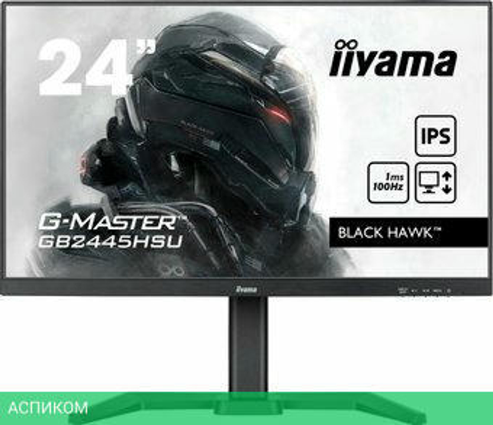 Игровой монитор Iiyama G-Master Black Hawk GB2445HSU-B1
