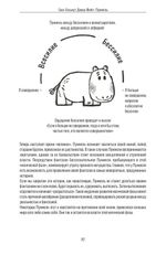 Пуммель. Психология развития на примере детства одного бегемотика