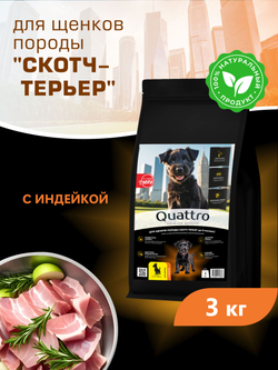 Корм сухой для щенков породы Скотч-терьер, с индейкой, 3 кг, QUATTRO