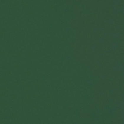 Фон бумажный FST 2,72х11 1006 Dark Green (Зелёный)
