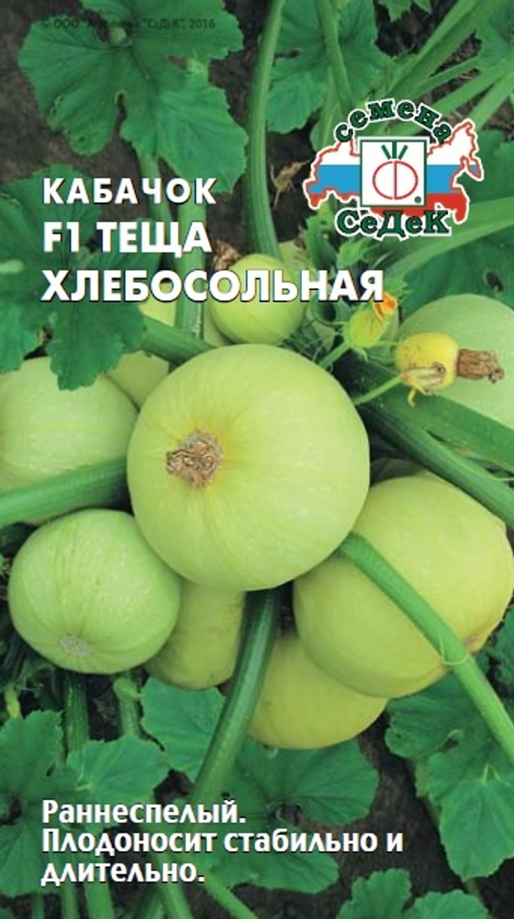 кабачок Теща Хлебосольная F1