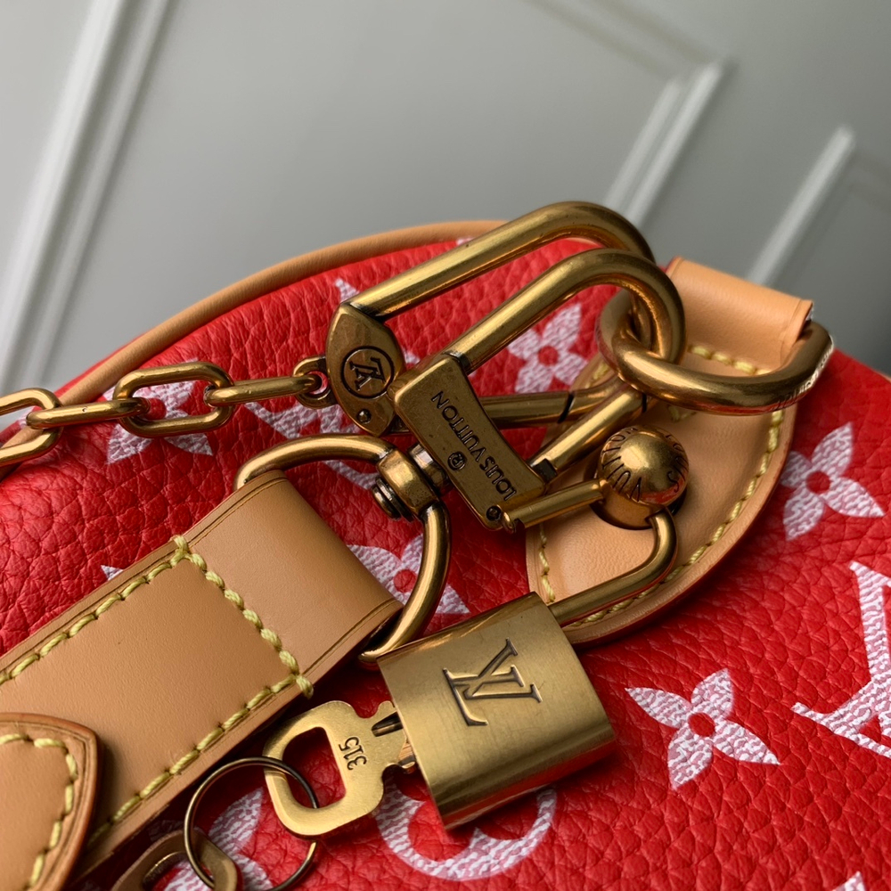 Louis Vuitton Speedy P9 Bandouliere 25