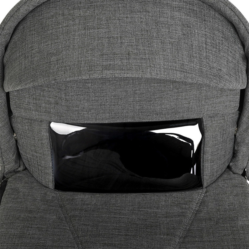 Детская коляска Roan Bass Next 2 в 1 RN027/1 Titanium