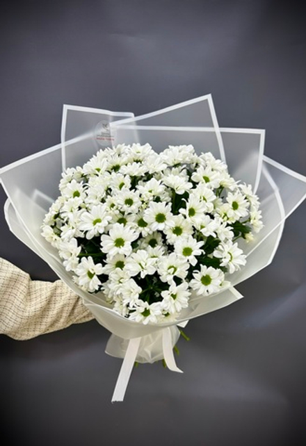 5 веток бакарди в упаковке