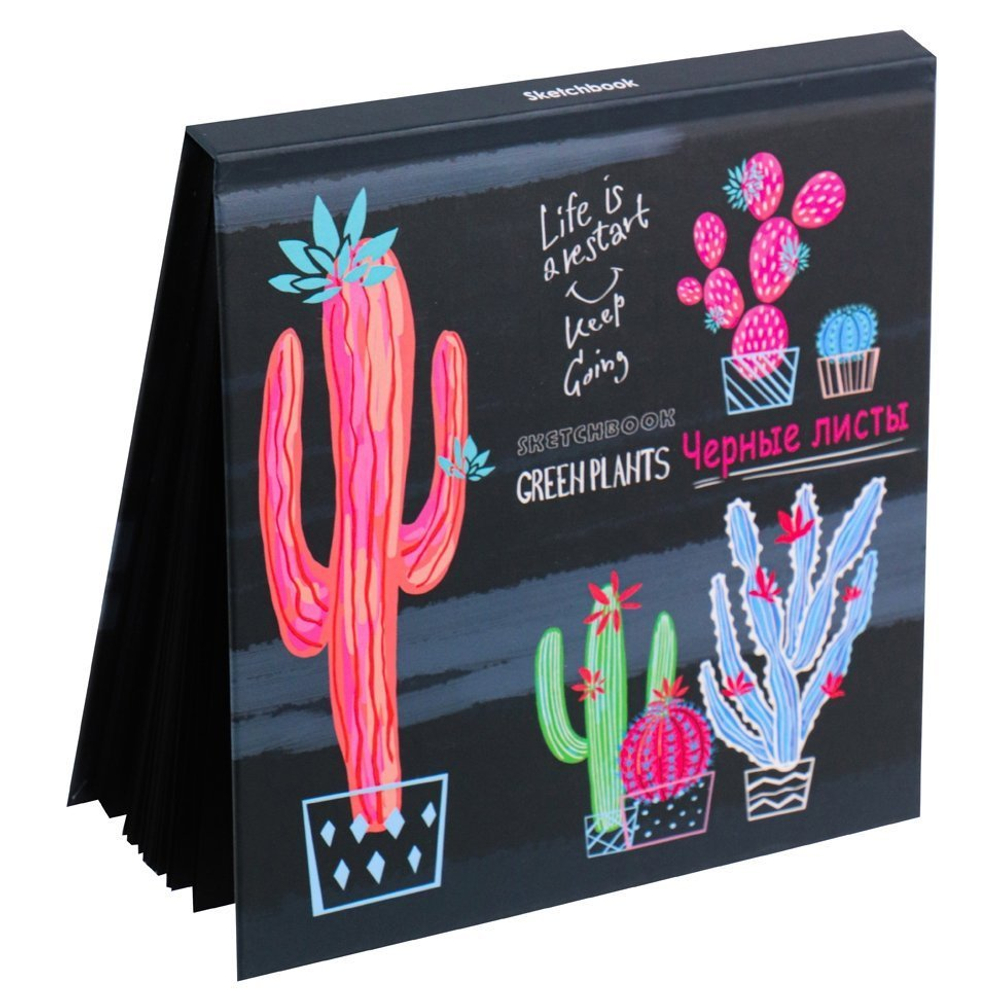 Скетчбук 160*160 мм., 64л., "Разноцветные суккуленты" 120 г/м2, Проф-Пресс, 7БЦ, ламинация, жёсткая подложка, черный офсет
