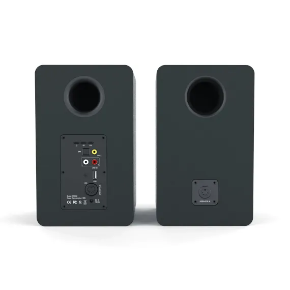 Music Public Kingdom BS100 Black
