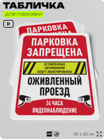Табличка для парковки "Парковка запрещена, оживленный проезд, видеонаблюдение", для дома, офиса, организаций, 40х30 см, Silver Plane x Айдентика Технолоджи
