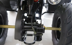 Квадроцикл MOTOLAND (МОТОЛЕНД) 110 RIDER