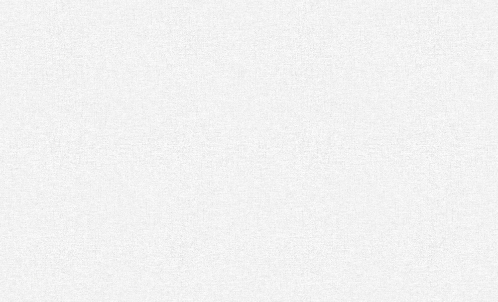 Erismann 60989-02 Basic Skandi