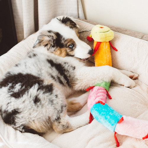 Игрушка Гусеница Blasters 76 см ZippyPaws