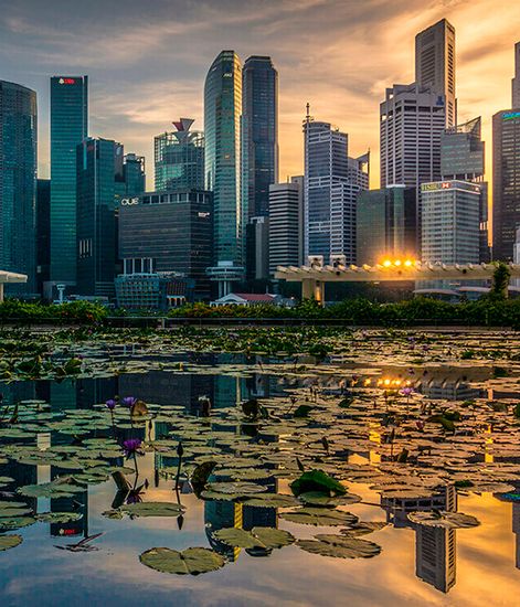 Fleurs de Fruit, рефилл для аромадиффузора с палочками, Ladenac Milano