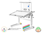Детский стол Mealux Ergowood - L Multicolor+ полка BD P-17 W (арт.BD-810 WG/MC Energy + BD P-17 W)