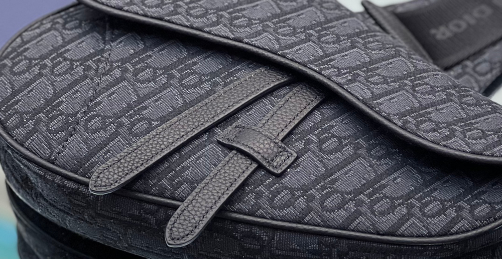 Christian Dior Saddle 26 cm