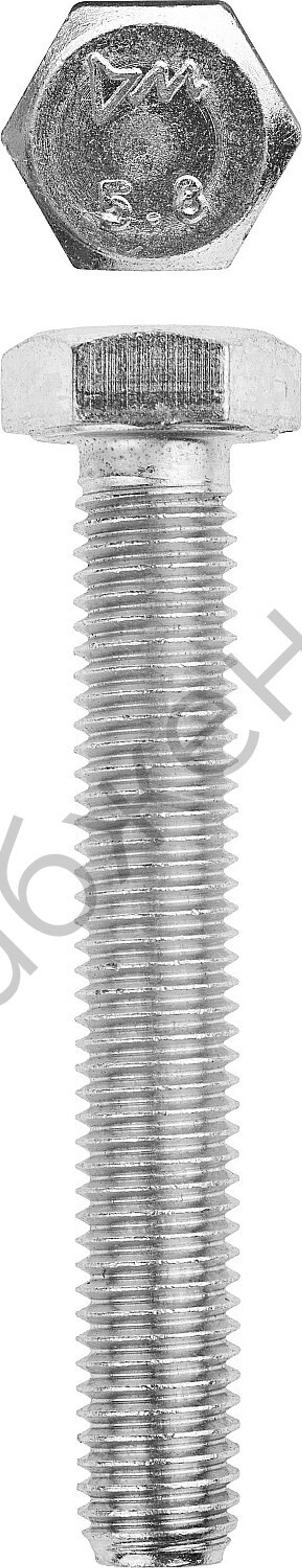 ЗУБР ГОСТ 7798-70 кл. пр. 5.8, M10 x 100 мм, болт оцинкованный, 5 кг (303080-10-100)