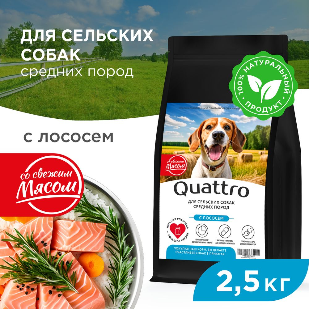 Корм сухой для взрослых собак средних пород, премиум полнорационный комплекс, для живущих в сельской местности, с лососем, 2,5 кг, QUATTRO