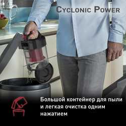 Пылесос с контейнером Tefal Cyclonic Power TW1923RH