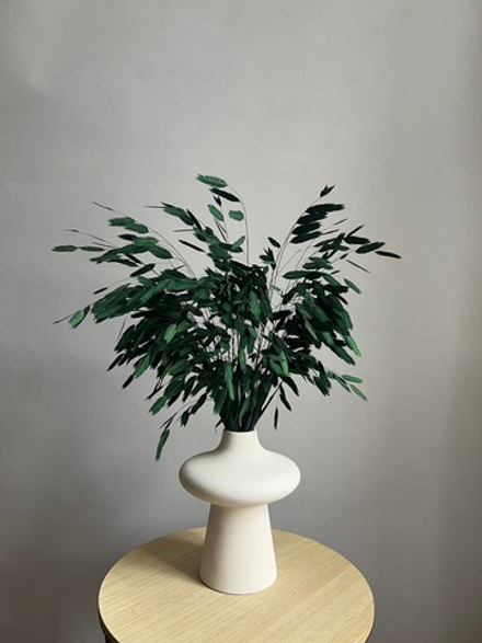 Хасмантиум зеленый