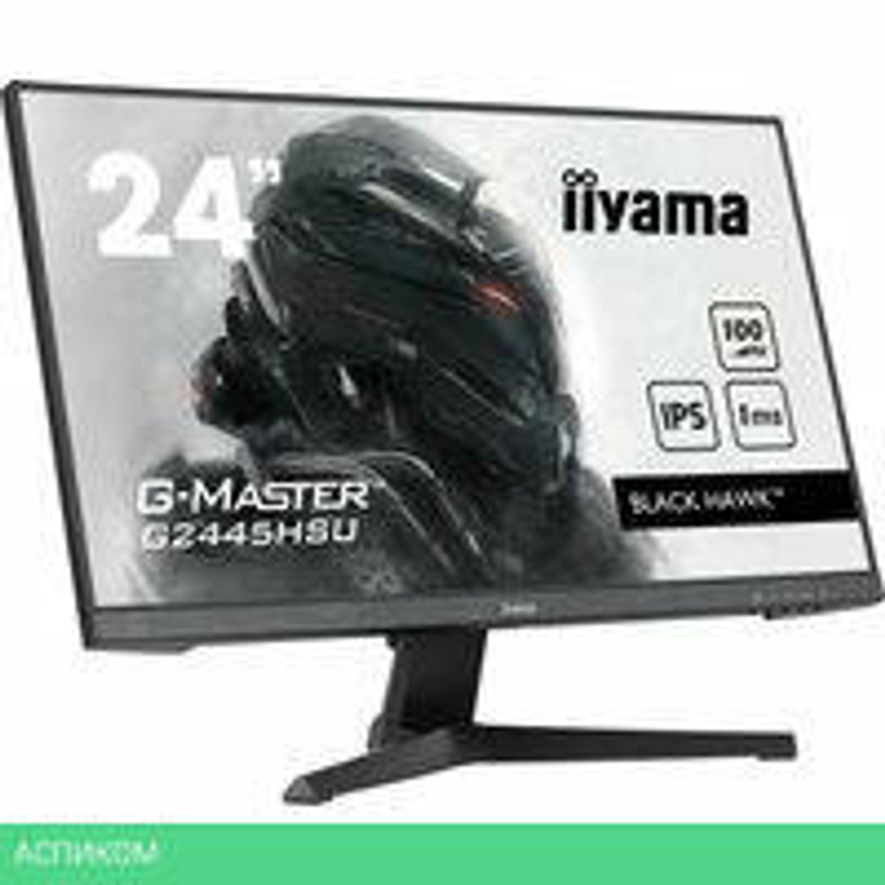 Игровой монитор Iiyama G-Master Black Hawk G2445HSU-B1