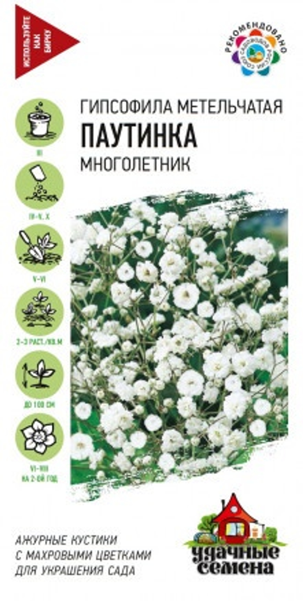 Гипсофила Паутинка метел. 0,05г УС Ц Гавриш