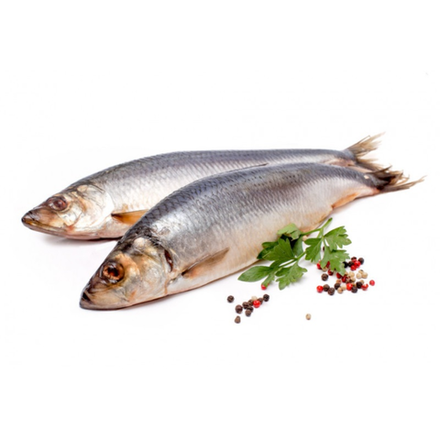 Сельд соленая Рокос (7561)