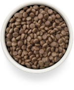 Сухой корм GRANDORF VETERINARY DIET Dog GASTROINTESTINAL LOW FAT Полнорационный диетический корм для собак, способствующий регуляции метаболизма липидов при гиперлипидемии, индейка 1кг