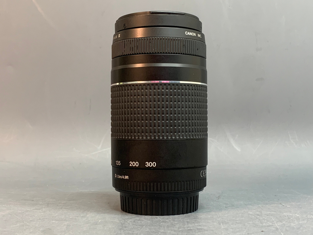 Canon EF 75-300mm 4-5.6 III