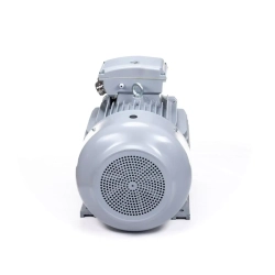 Электродвигатель ESQ PR 225 M4-SDN-Б1-S12-IE3 45/1500 IMB3