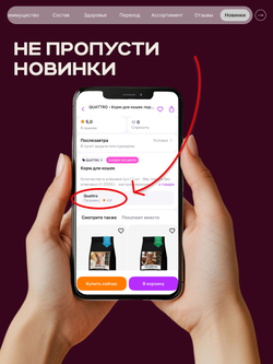 Корм сухой для взрослых кошек породы Ориентальная кошка, с лососем, 400 гр, QUATTRO