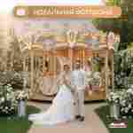 Электрическая свадебная карусель «Золотая колесница» с LED-подсветкой, 16 мест