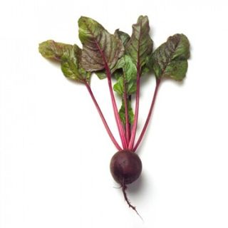 Свекла Либеро  F1 1000 (семян)