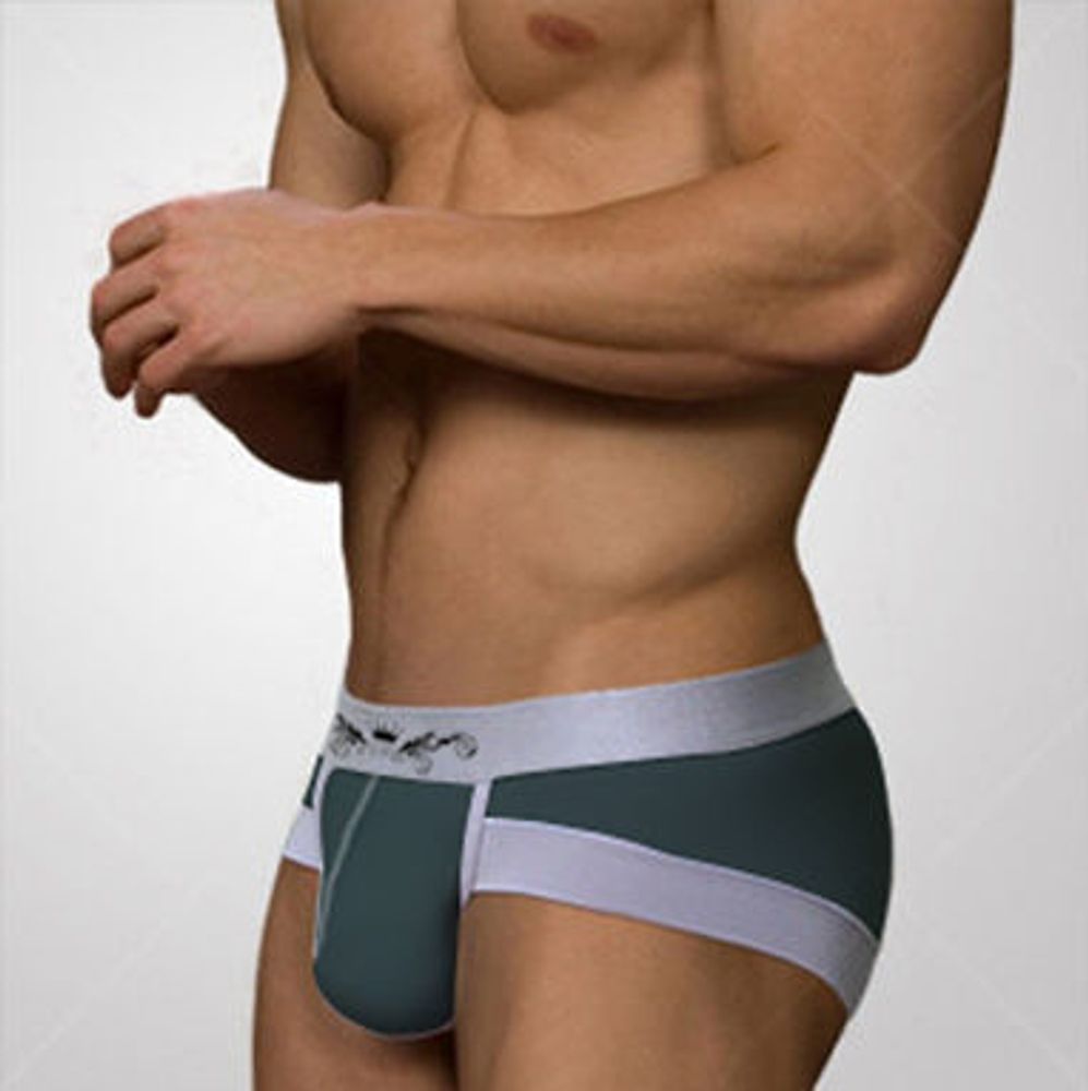 Мужские трусы брифы Asitoo Silveredge Brief Green